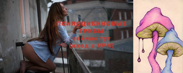 соль курить ск Богородск