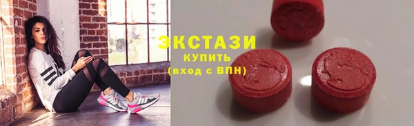 крисы Богородицк