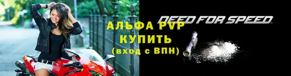 крисы Богородицк