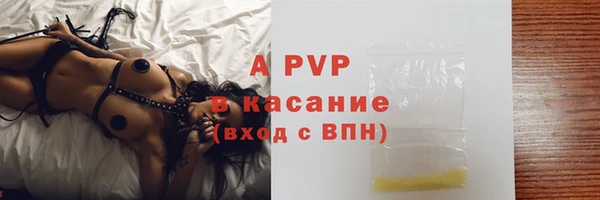 крисы Богородицк