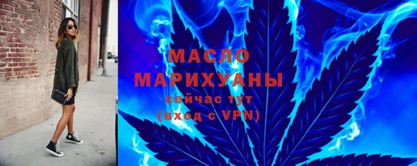 крисы Богородицк