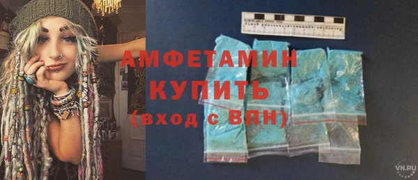 крисы Богородицк
