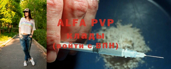 крисы Богородицк