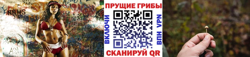Псилоцибиновые грибы GOLDEN TEACHER  OMG ONION  Беслан 